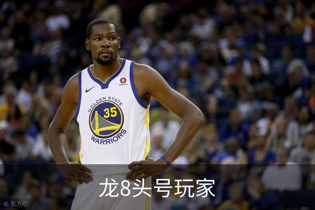龙8头号玩家公司简介